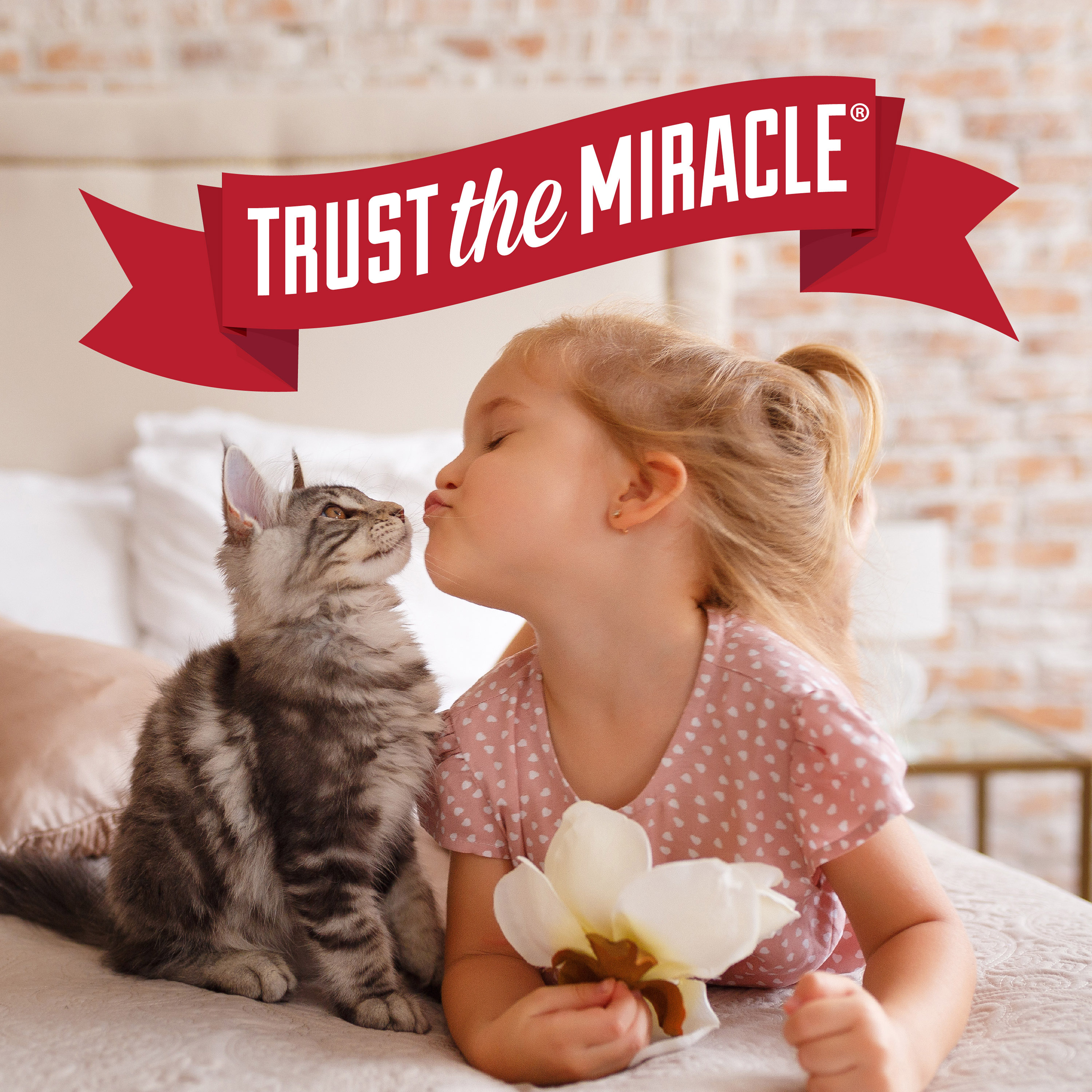 Disposable Litter Box Nature s Miracle